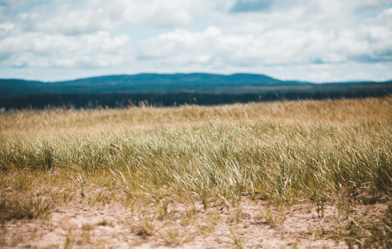 Executive De Winton acreages for sale in Foothills County Alberta with mountain views