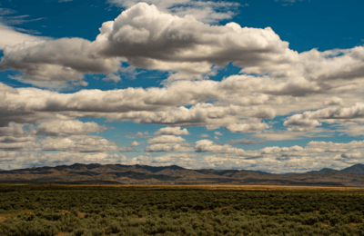 Vulcan County Land for Sale