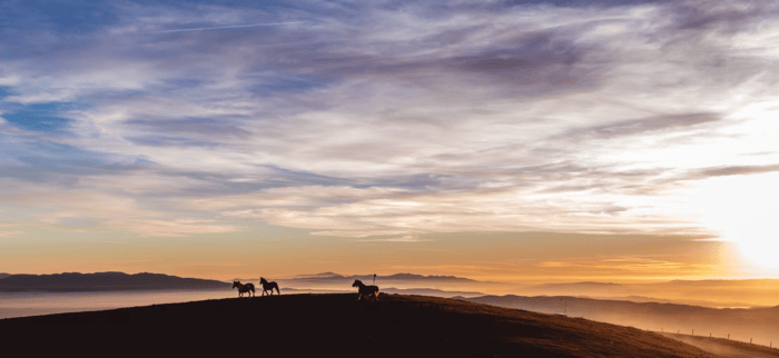 Rural Foothills County home for sale with panoramic Rocky‑Mountain views