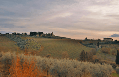 Acreages and farms for sale in Southern Alberta with prairie views