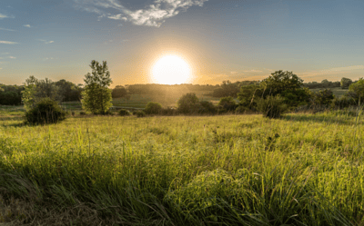 County of Newell Real Estate featuring expansive Southern Alberta luxury acreages and farm land