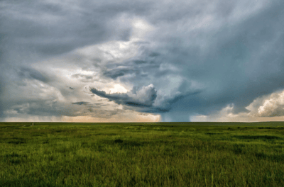 Beautiful Red Deer County acreage for sale with rolling hills and mature shelterbelts