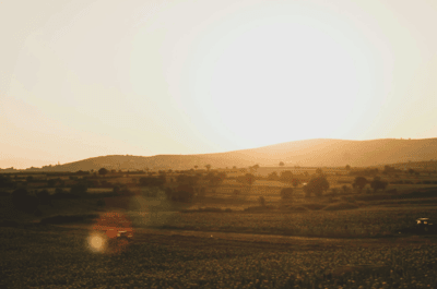 Scenic Clearwater County acreage for sale with mountain views and pine forests