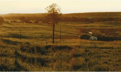 Acreages for sale in Wheatland County