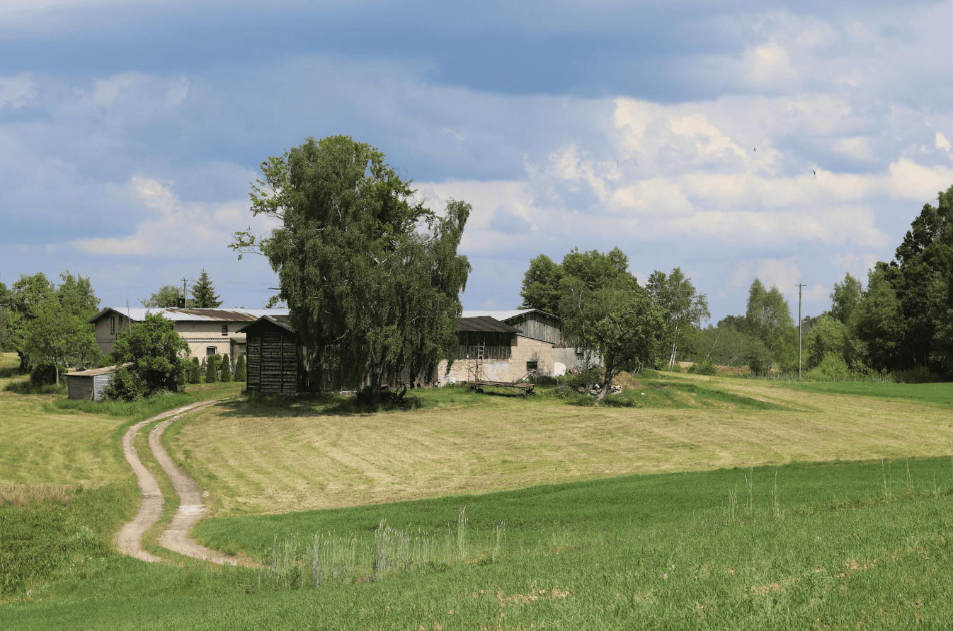 Stunning MD of Bighorn County Property for sale featuring majestic mountain views and pristine wilderness