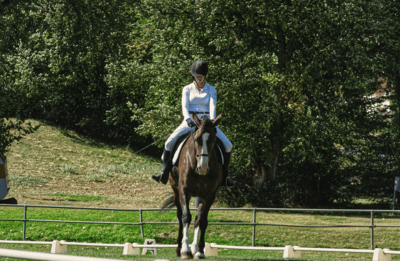 Equestrian Properties for Sale in Wheatland County Alberta