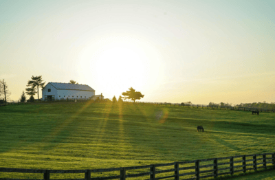 Kneehill County acreages for sale