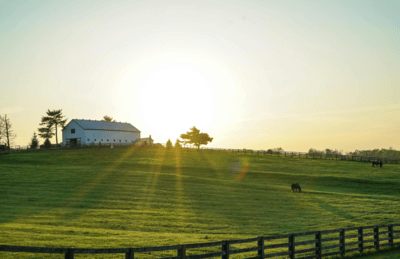 Luxury Acreages for Sale in Wheatland County