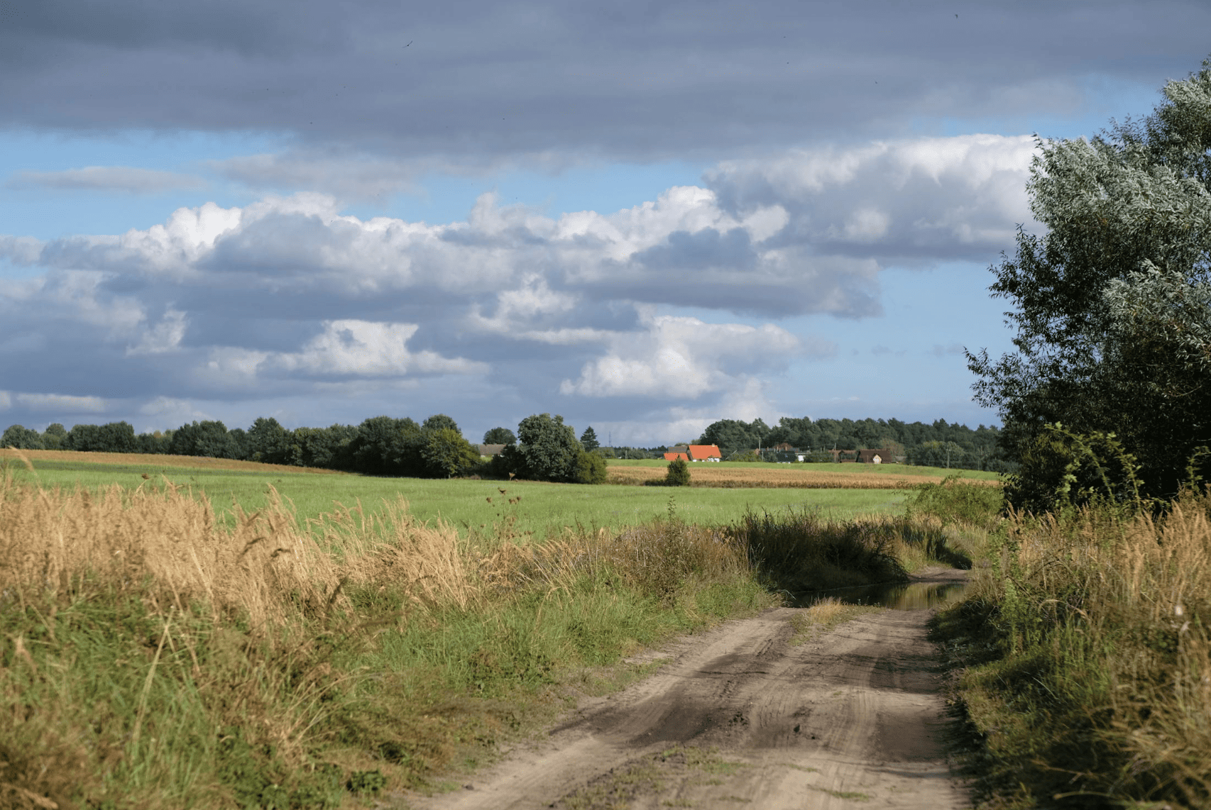 Md of bighorn no 8 real estate listings featuring majestic mountain views and pristine wilderness