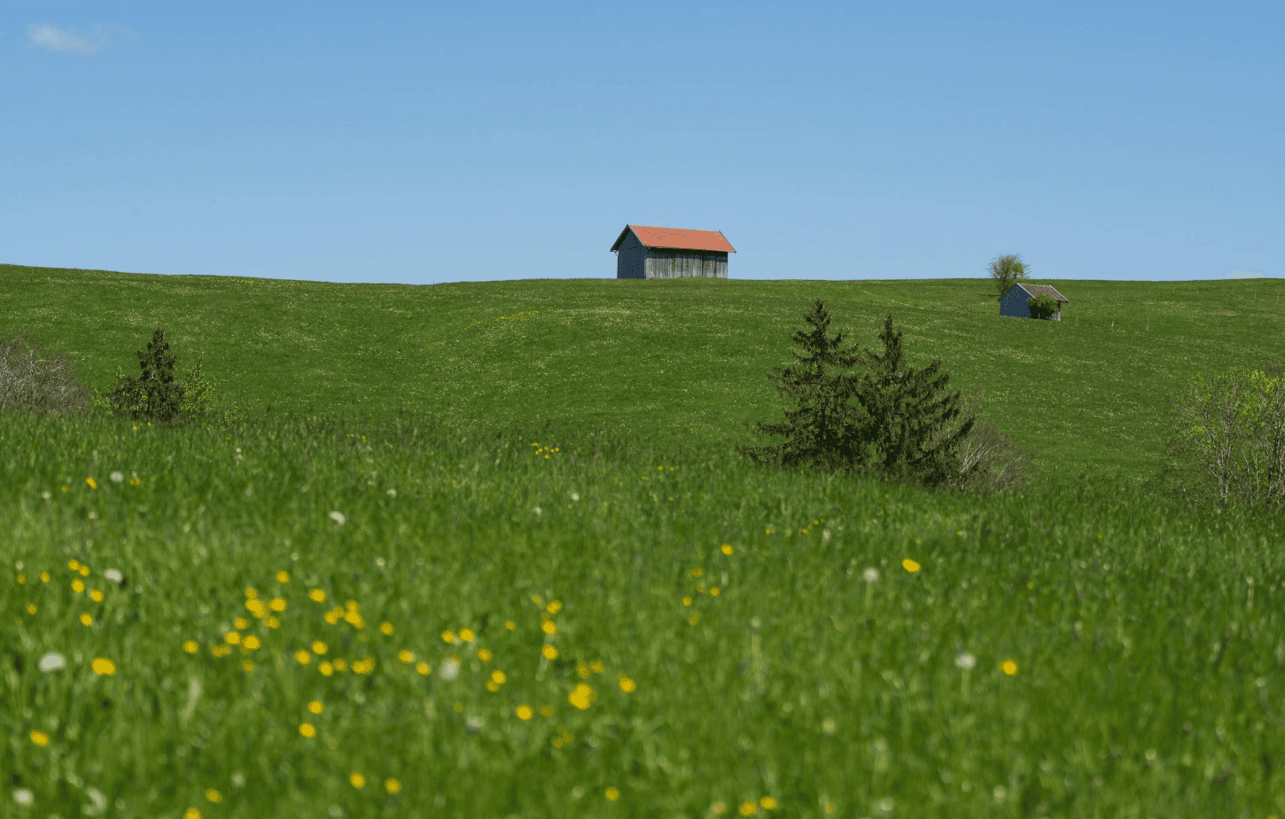Acreages with shops for sale Foothills County including workshops garages and rural outbuildings