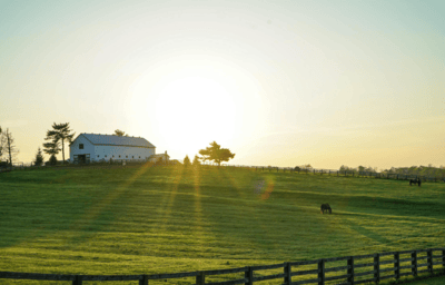 Luxury homes for sale in Priddis, AB featuring sprawling acreages and foothills views