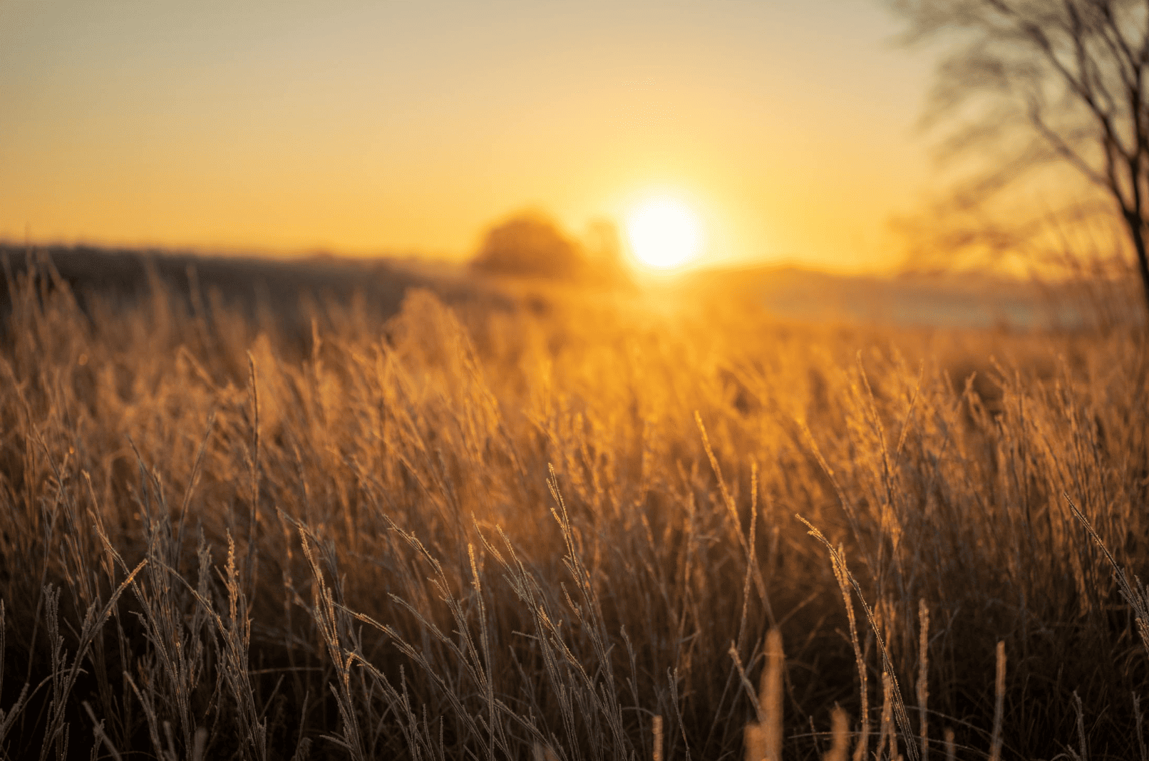 Exploring Black Diamond and Turner Valley