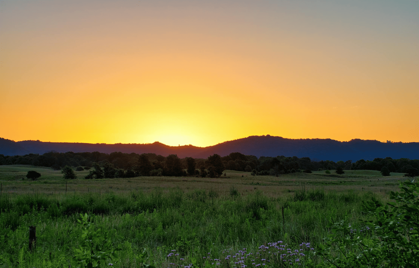 Heritage Pointe: Award-Winning Golf Living