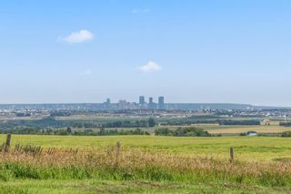 Acreages for Sale in De Winton Alberta | 60 Acres with Bungalow & Outbuildings